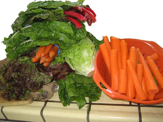 mound of vegetables for Gerson juices